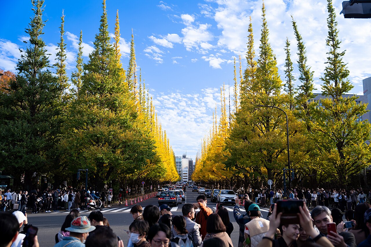 【見頃予想付き】東京で絶対に訪れたい紅葉の名所10選
