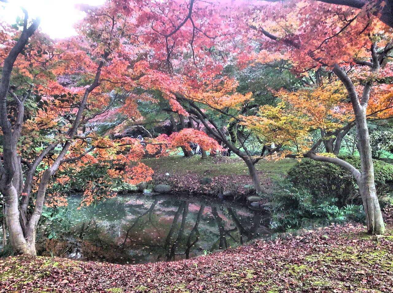 新宿御苑の紅葉