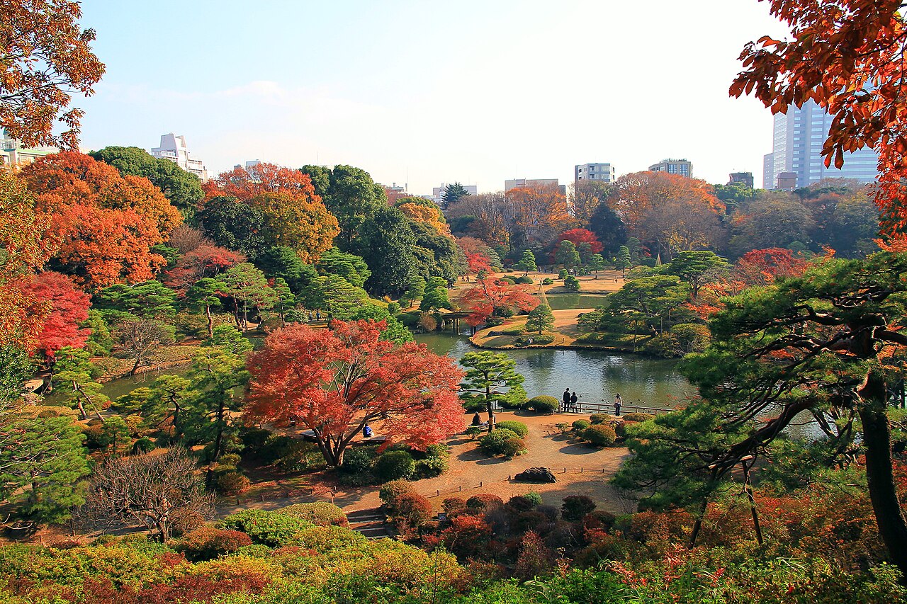 六義園の池と晩秋の紅葉