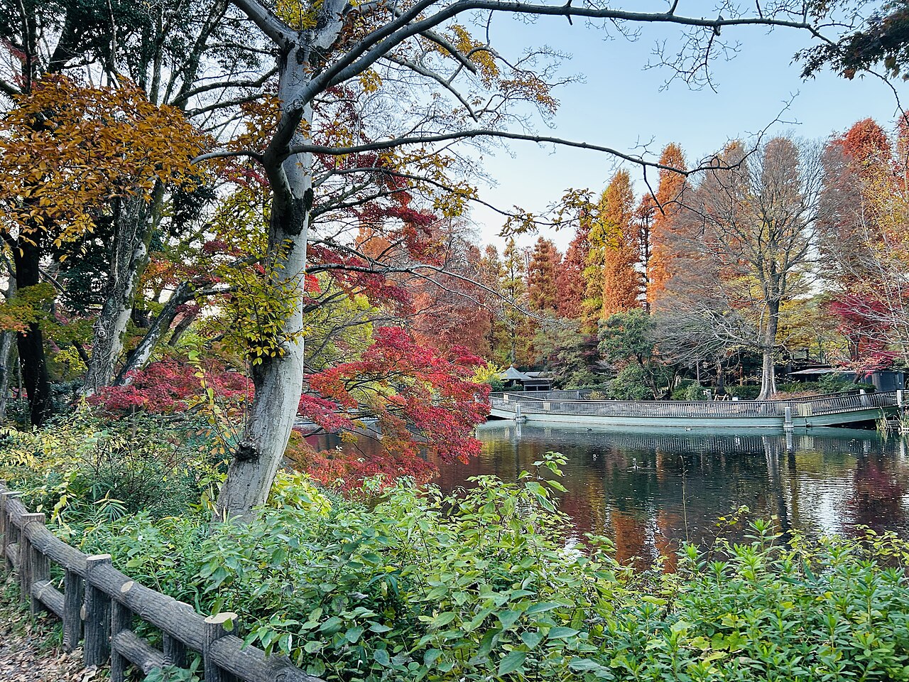 井の頭恩賜公園の池畔の紅葉