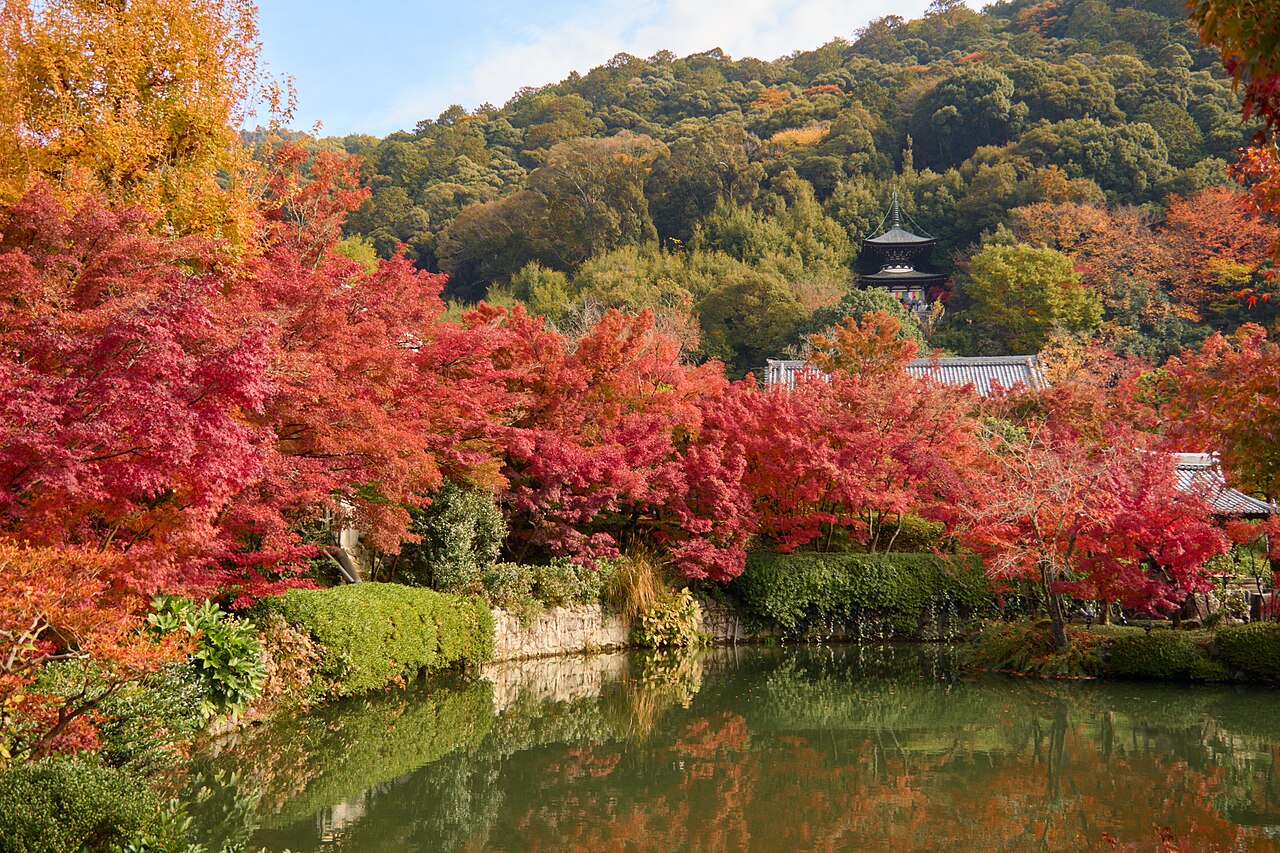 에이칸도 연못 주변 단풍