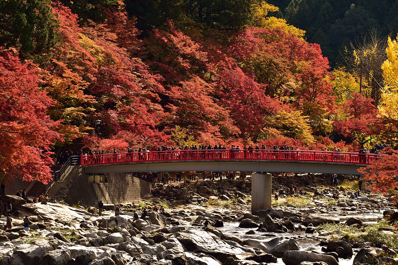 香嵐渓の待月橋と紅葉